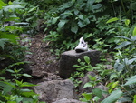 High-slide JS